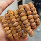 7 Mukhi Rudraksha Bracelet